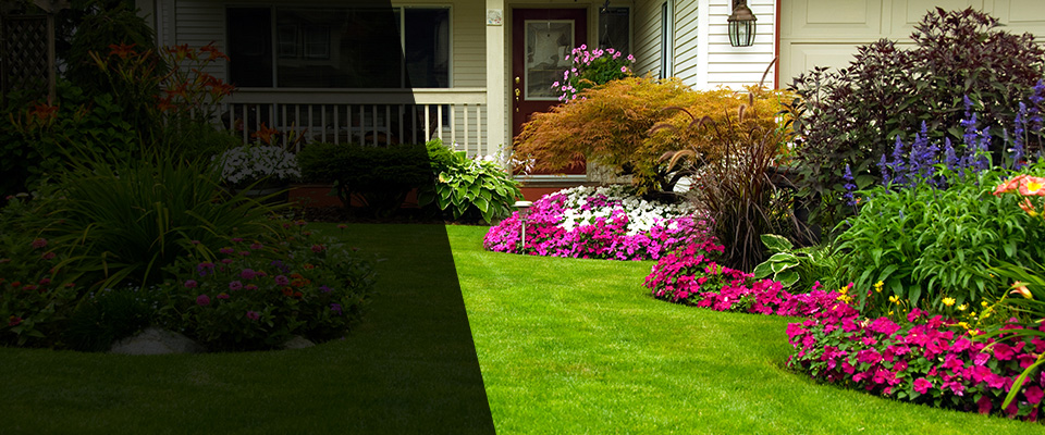 Winner Landscapers