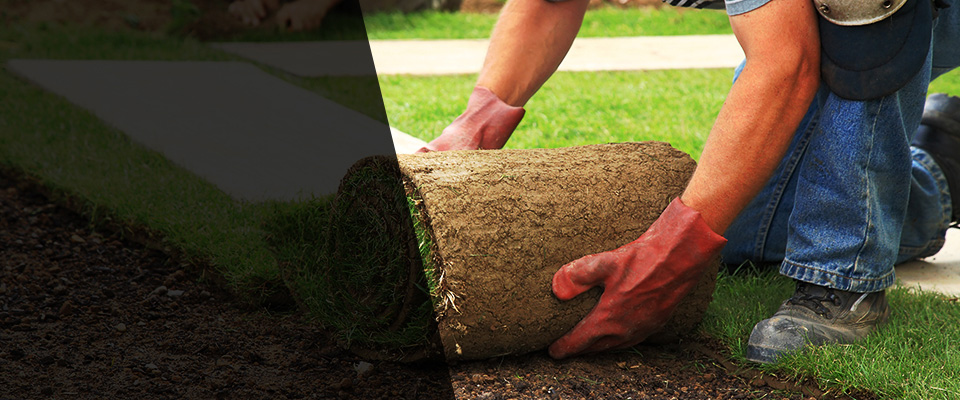 Winner Landscapers